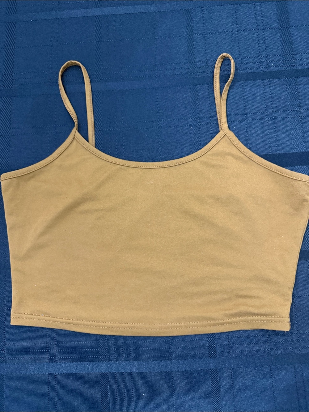 Beige Spaghetti Strap Crop Tank Top